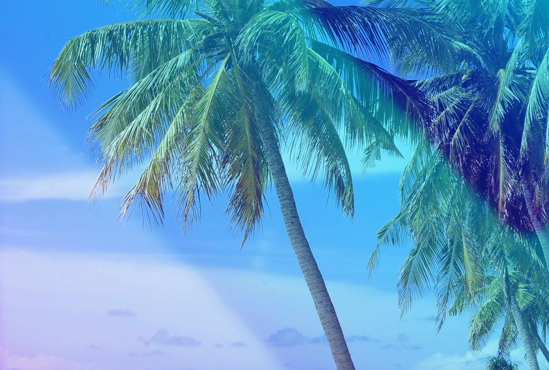 Talleres de Verano